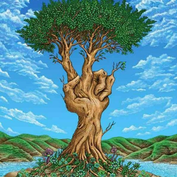 Meet your Posher, Stacey - Picture 3 of 3